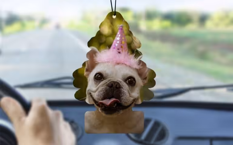 Profumatore Auto - Foto Digital