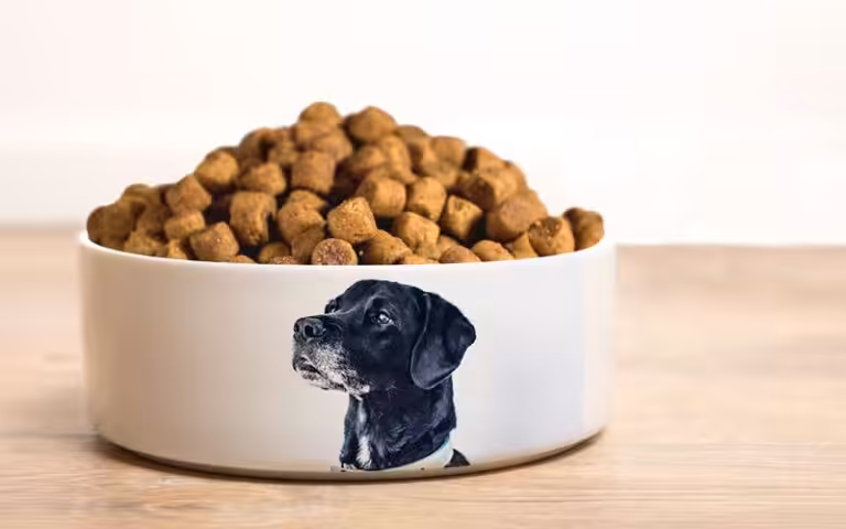 Ciotola - Foto Digital