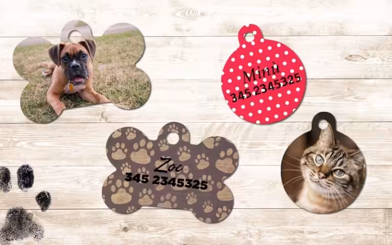 Medaglietta - Foto Digital