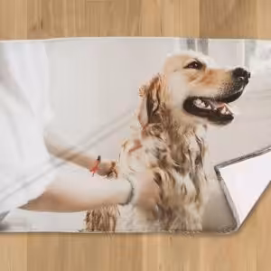 Asciugamano - Foto Digital