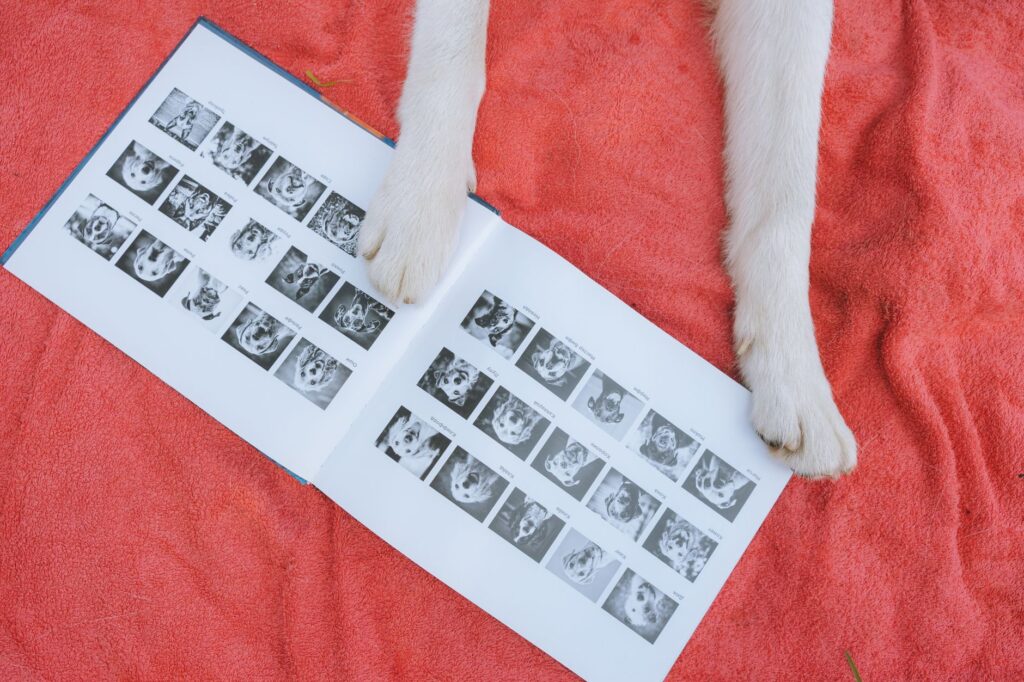 Come scegliere i colori giusti per il fotolibro del tuo bimbo